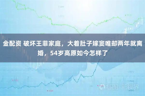 金配资 破坏王菲家庭，大着肚子嫁窦唯却两年就离婚，54岁高原如今怎样了